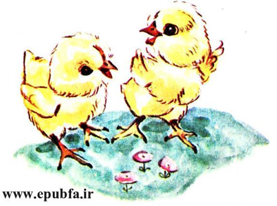 قصه کودکانه حنایی و جوجههایش-کتاب قصه کودکانه-ایپابفا قصه و داستان14